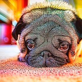 Al-Wood-Get-Creative-1