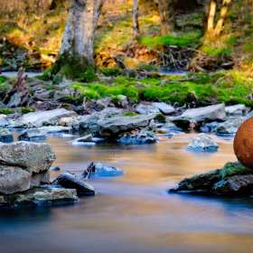 Jeremy-Teran-Composite-Orange-Sunning-on-Rock