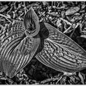 John-Mott-Creative-1