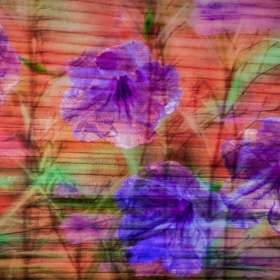 Al-Wood-Intentional-Blur-1