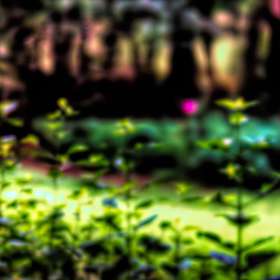 Al-Wood-Intentional-Blur-3