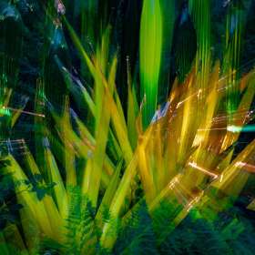 Diane-Burgett-Intentional-blur-1