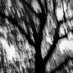 Diane-Burgett-Intentional-blur-2