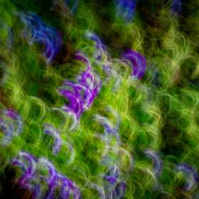 Diane-Burgett-Intentional-blur-3