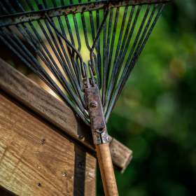 Al-Wood-Leading-Lines-1