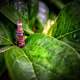 Al-Wood-Leading-Lines-2