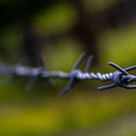 John-Mott-Leading-Lines-1