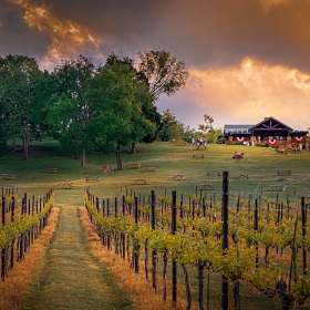 Martin-Cregg-Arrington-Leading-Lines