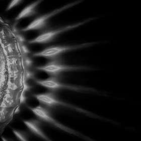 Rick-Borchert-leading-lines-3