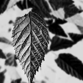 Rick_Wise-Leading-Lines-3