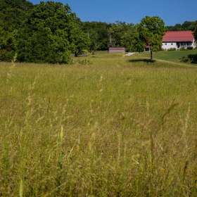 John-Mott-Song-1-Green-Green-Grass-of-Home