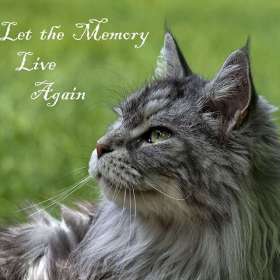 LesleyGill-LineFromASong.1