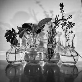 Rick-Borchert-a-line-from-a-song-1