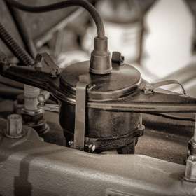 Al-Wood-Close-Focus-1