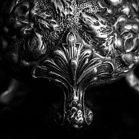 Bobby-Dawson-Close-Up-Photography-2