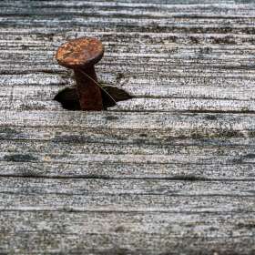 Diane-Burgett-Close-Focus-1