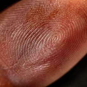 Martin-Cregg-Close-Focus-Macro-Finger-Print