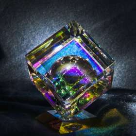 Rick_Wise-Macro-3