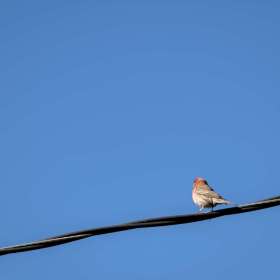 Kevin-Graham-Minimalism1