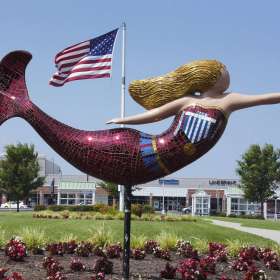 Sheila-Peschio-Freedom-1