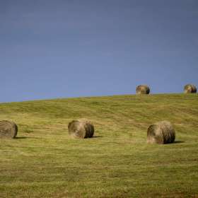 John-Mott-Rule-of-Odds-1