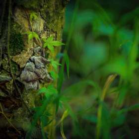 Al-Wood-Rule-of-Thirds-2