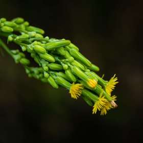 John-Mott-Rule-of-Thirds-3