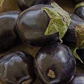 12th-St-South-Eggplant_R732955