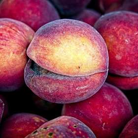 12th-St-South-Spoiled-Peaches_R732962