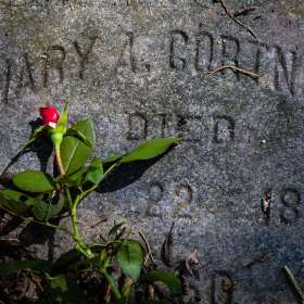 John-Mott-Still-Life-1