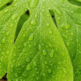 Weekly Challenge - Water Droplets