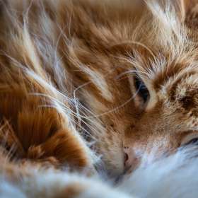 John-Mott-Portrait-1-Maximus