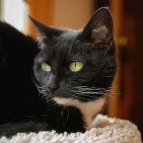 Kevin-Graham-Portraits-1