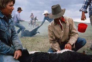 SamAbell_Promo_Jan2018-4