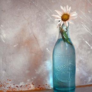 Phyllis-Tatum-Bottles-1st-Place-November