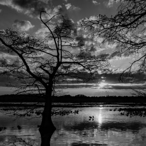 Landscape, B&W, After Sunset