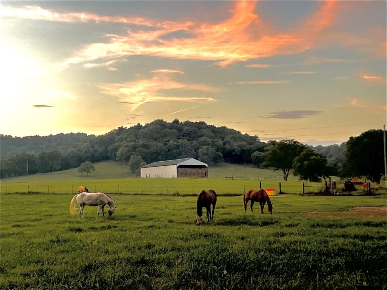 Williamson County Scene